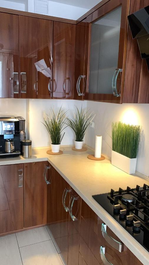 Golden Apartament Legionow Stary Toruń المظهر الخارجي الصورة