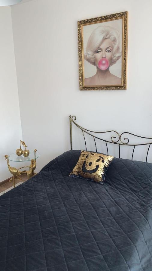 Golden Apartament Legionow Stary Toruń المظهر الخارجي الصورة